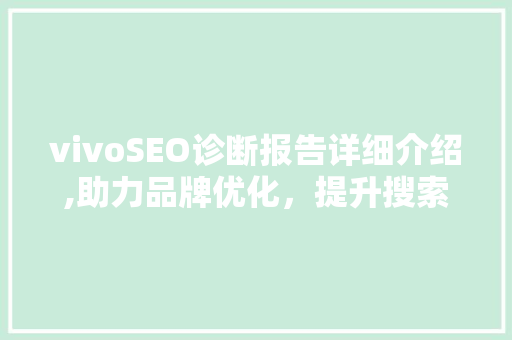 vivoSEO诊断报告详细介绍,助力品牌优化，提升搜索排名