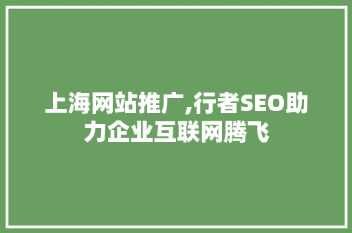 上海网站推广,行者SEO助力企业互联网腾飞