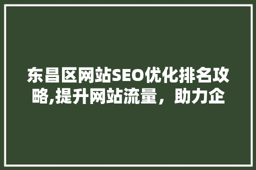 东昌区网站SEO优化排名攻略,提升网站流量，助力企业腾飞  第1张