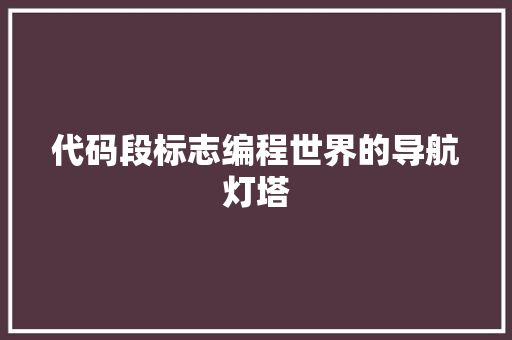 代码段标志编程世界的导航灯塔