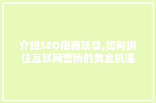 介绍SEO招商项目,如何抓住互联网营销的黄金机遇  第1张