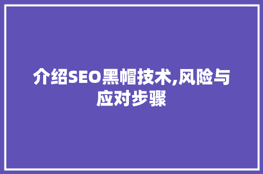 介绍SEO黑帽技术,风险与应对步骤