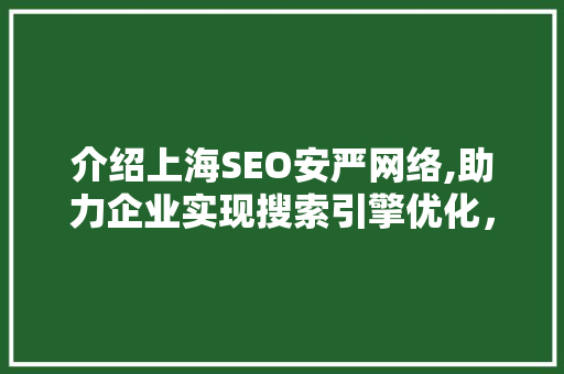 介绍上海SEO安严网络,助力企业实现搜索引擎优化，抢占互联网市场制高点
