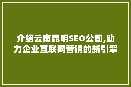 介绍云南昆明SEO公司,助力企业互联网营销的新引擎