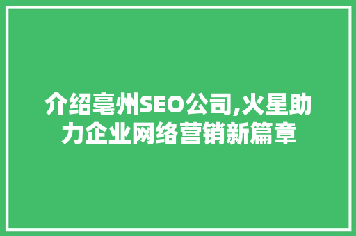 介绍亳州SEO公司,火星助力企业网络营销新篇章