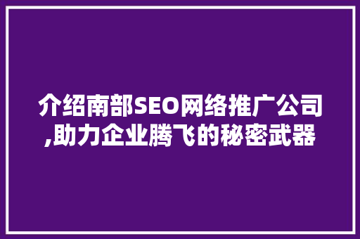 介绍南部SEO网络推广公司,助力企业腾飞的秘密武器