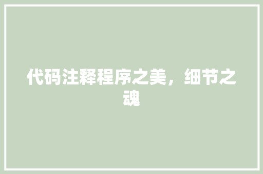代码注释程序之美，细节之魂