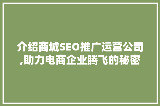 介绍商城SEO推广运营公司,助力电商企业腾飞的秘密武器  第1张