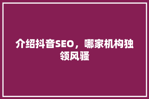 介绍抖音SEO，哪家机构独领风骚