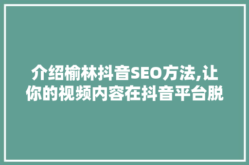 介绍榆林抖音SEO方法,让你的视频内容在抖音平台脱颖而出