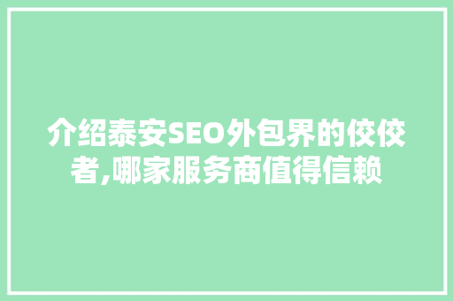介绍泰安SEO外包界的佼佼者,哪家服务商值得信赖