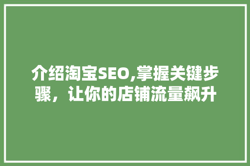 介绍淘宝SEO,掌握关键步骤，让你的店铺流量飙升
