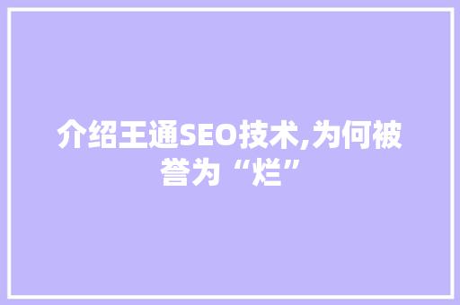 介绍王通SEO技术,为何被誉为“烂”
