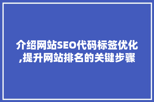 介绍网站SEO代码标签优化,提升网站排名的关键步骤