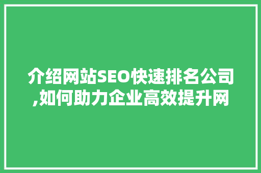 介绍网站SEO快速排名公司,如何助力企业高效提升网络知名度