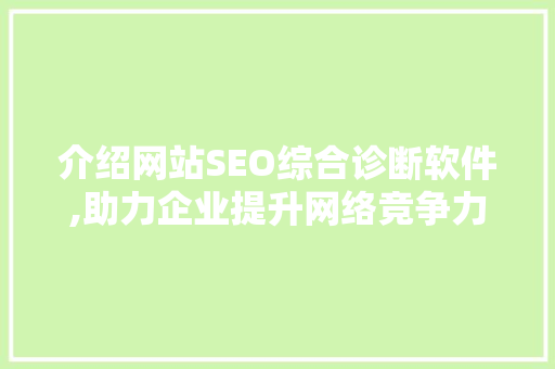 介绍网站SEO综合诊断软件,助力企业提升网络竞争力