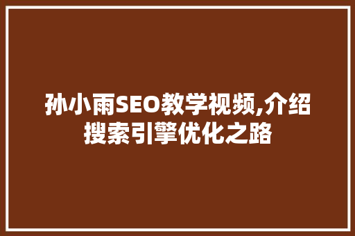 孙小雨SEO教学视频,介绍搜索引擎优化之路