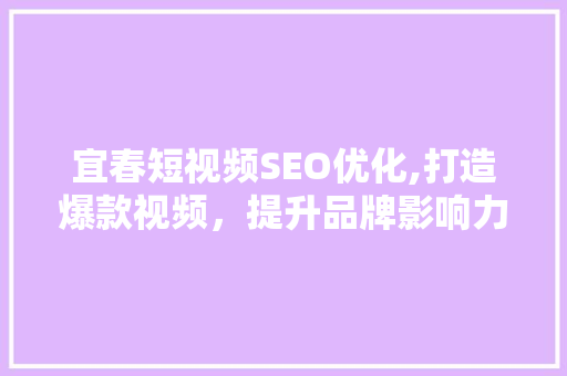 宜春短视频SEO优化,打造爆款视频，提升品牌影响力