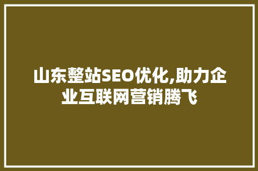 山东整站SEO优化,助力企业互联网营销腾飞