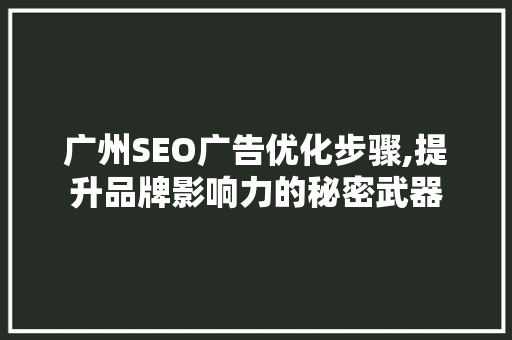 广州SEO广告优化步骤,提升品牌影响力的秘密武器