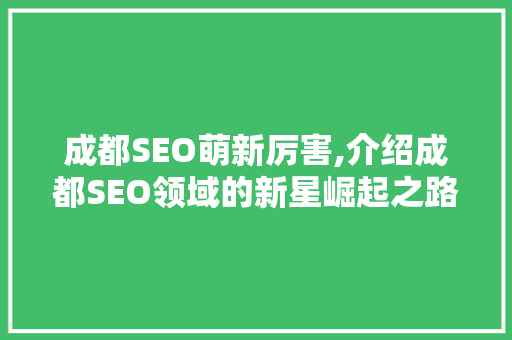 成都SEO萌新厉害,介绍成都SEO领域的新星崛起之路