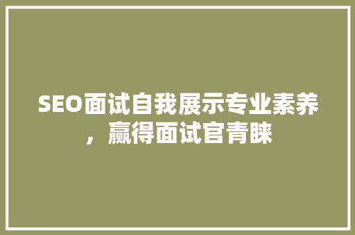 SEO面试自我展示专业素养，赢得面试官青睐