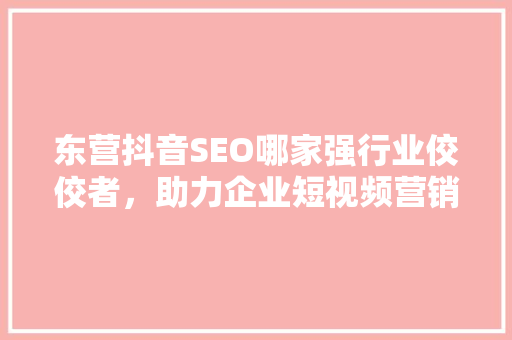 东营抖音SEO哪家强行业佼佼者，助力企业短视频营销