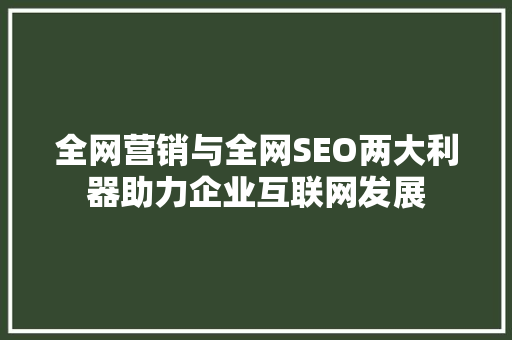 全网营销与全网SEO两大利器助力企业互联网发展  第1张