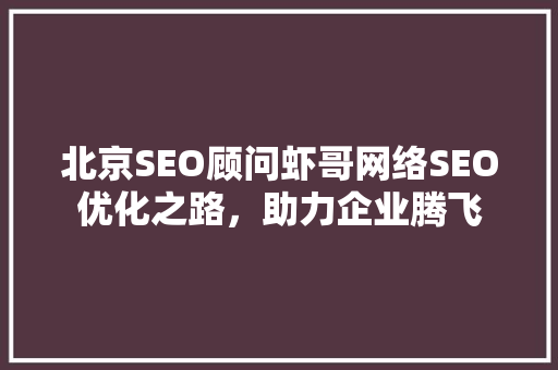 北京SEO顾问虾哥网络SEO优化之路，助力企业腾飞