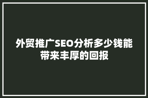 外贸推广SEO分析多少钱能带来丰厚的回报  第1张