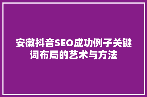 安徽抖音SEO成功例子关键词布局的艺术与方法  第1张