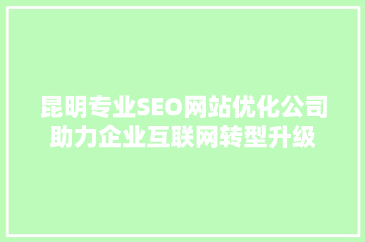 昆明专业SEO网站优化公司助力企业互联网转型升级