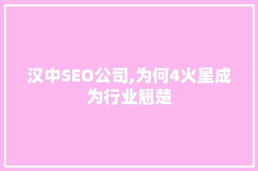 汉中SEO公司,为何4火星成为行业翘楚