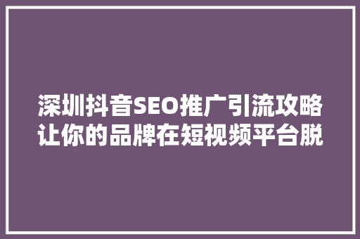 深圳抖音SEO推广引流攻略让你的品牌在短视频平台脱颖而出
