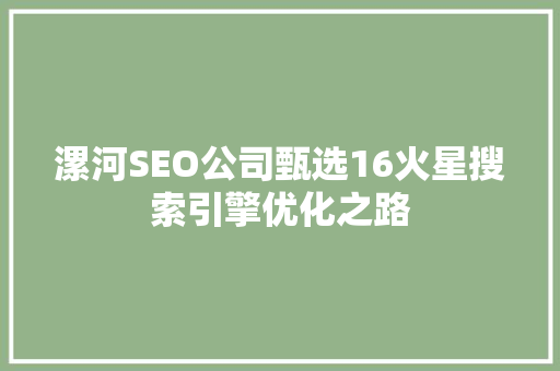 漯河SEO公司甄选16火星搜索引擎优化之路