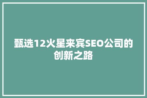 甄选12火星来宾SEO公司的创新之路