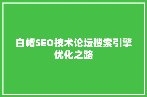 白帽SEO技术论坛搜索引擎优化之路
