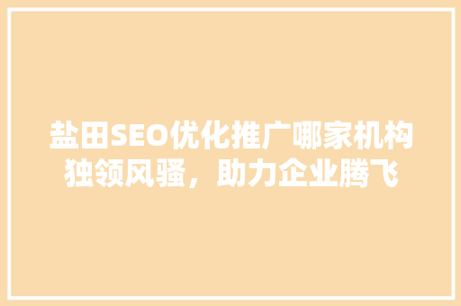 盐田SEO优化推广哪家机构独领风骚，助力企业腾飞