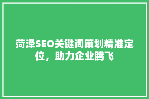 菏泽SEO关键词策划精准定位，助力企业腾飞