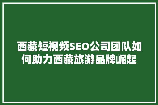 西藏短视频SEO公司团队如何助力西藏旅游品牌崛起  第1张