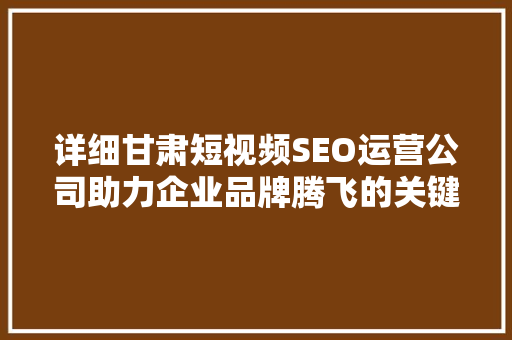 详细甘肃短视频SEO运营公司助力企业品牌腾飞的关键一步