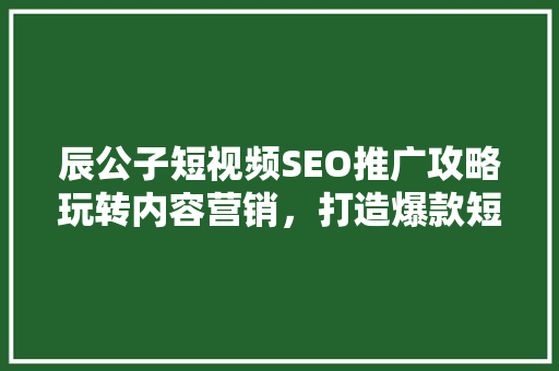 辰公子短视频SEO推广攻略玩转内容营销，打造爆款短视频