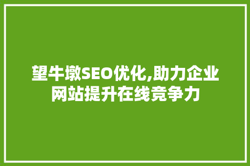 望牛墩SEO优化,助力企业网站提升在线竞争力