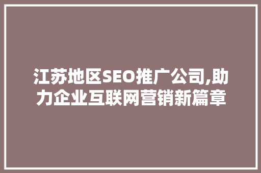 江苏地区SEO推广公司,助力企业互联网营销新篇章