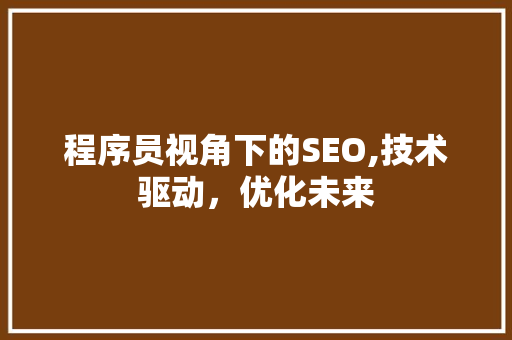 程序员视角下的SEO,技术驱动，优化未来  第1张