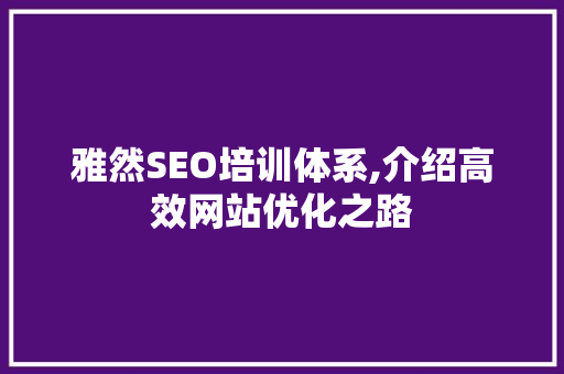 雅然SEO培训体系,介绍高效网站优化之路  第1张