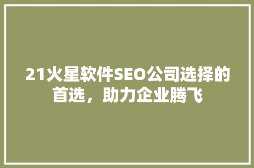 21火星软件SEO公司选择的首选，助力企业腾飞