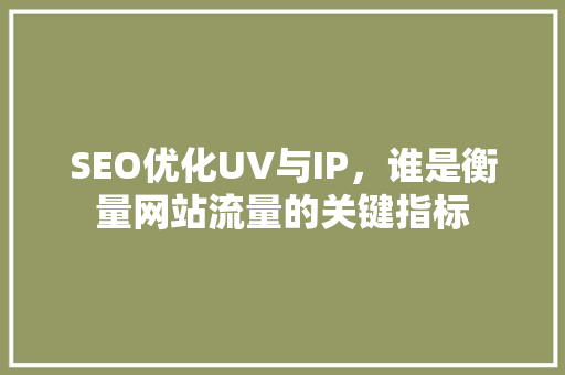 SEO优化UV与IP，谁是衡量网站流量的关键指标