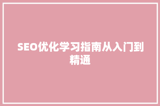 SEO优化学习指南从入门到精通