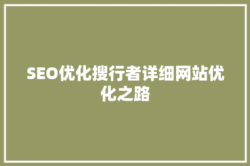 SEO优化搜行者详细网站优化之路  第1张